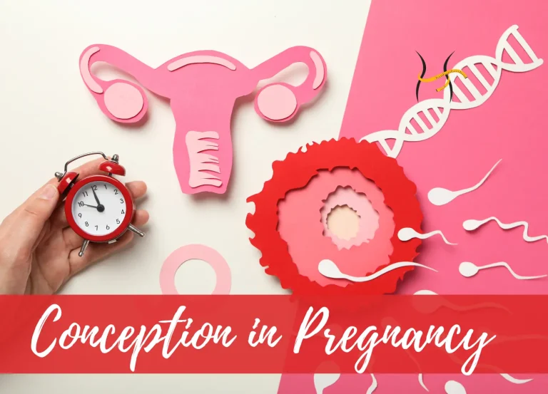 Conception in Pregnancy